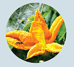 RabochiyMoment-11.jpg RabochiyMoment-11.jpg