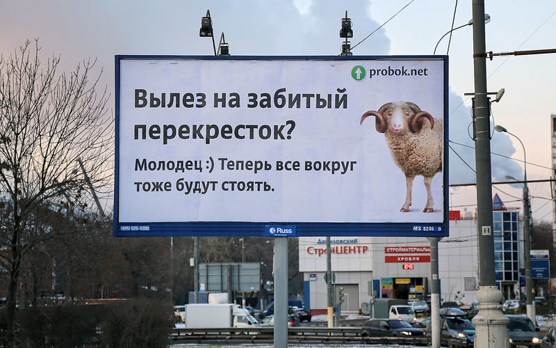 Различные общественные силы пытаются перевоспитать хамов. В эффективность подобного воздействия не очень верится, но совсем ничего не делать - тоже плохо.