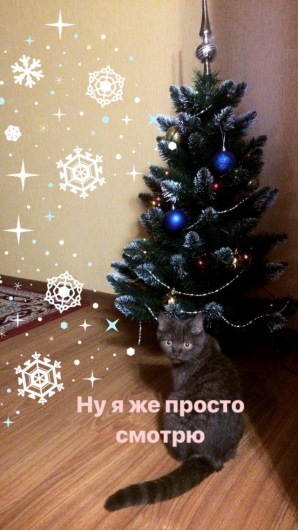 c35b3999826a.jpg