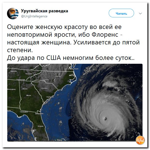 Соц.сети жгут напалмом! Злобные (сарказм) комментарии о последних событиях в мире Соц.сети жгут напалмом! Злобные (сарказм) комментарии о последних событиях в мире
