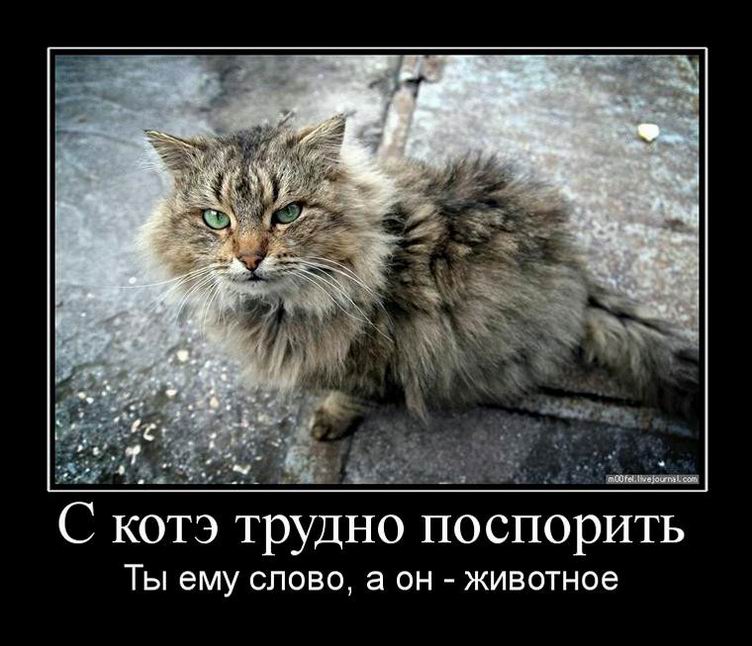 Демотиваторы отличной подборочкой для зарядки позитивом на весь день! Демотиваторы отличной подборочкой для зарядки позитивом на весь день!