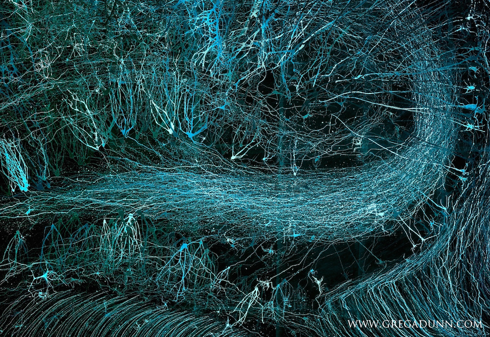 Microetched-Hippocampus