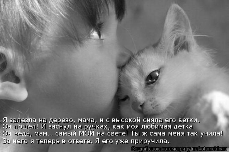 Самые смешные котоматрицы за прошедшую неделю Самые смешные котоматрицы за прошедшую неделю