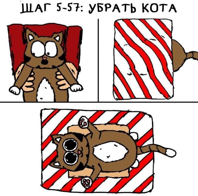 лайфхак для тех, у кого есть кот лайфхак с котом
