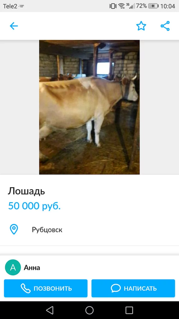 17 объявлений с Авито, которые точно рассмешат вас до слез 17 объявлений с Авито, которые точно рассмешат вас до слез