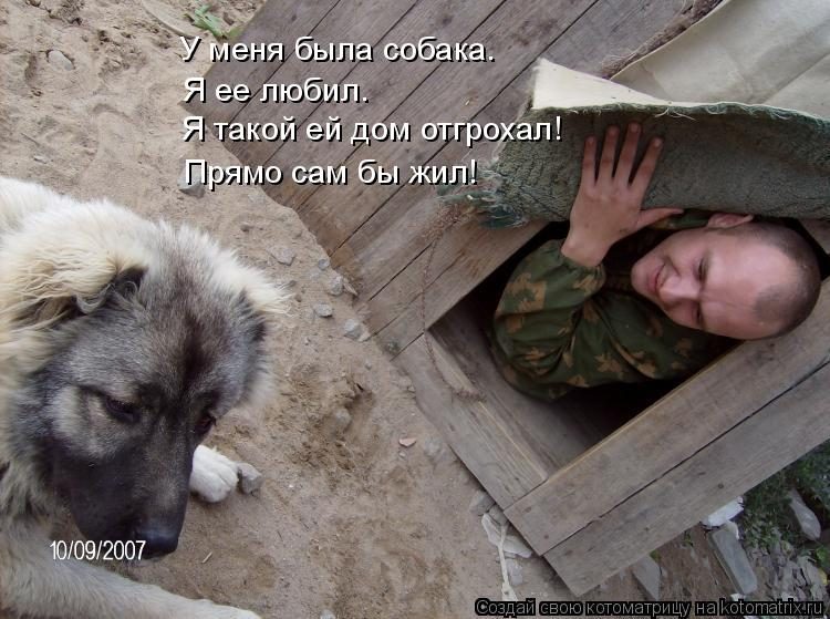 Самые смешные котоматрицы за прошедшую неделю Самые смешные котоматрицы за прошедшую неделю