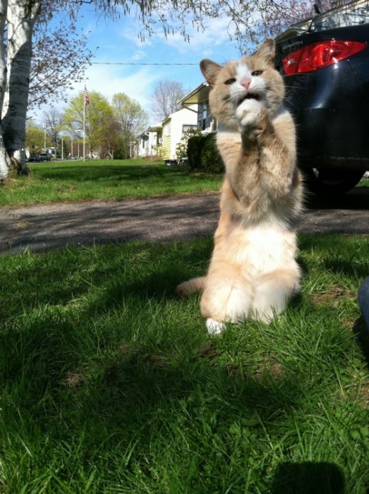 Давайте улыбаться вместе! :)