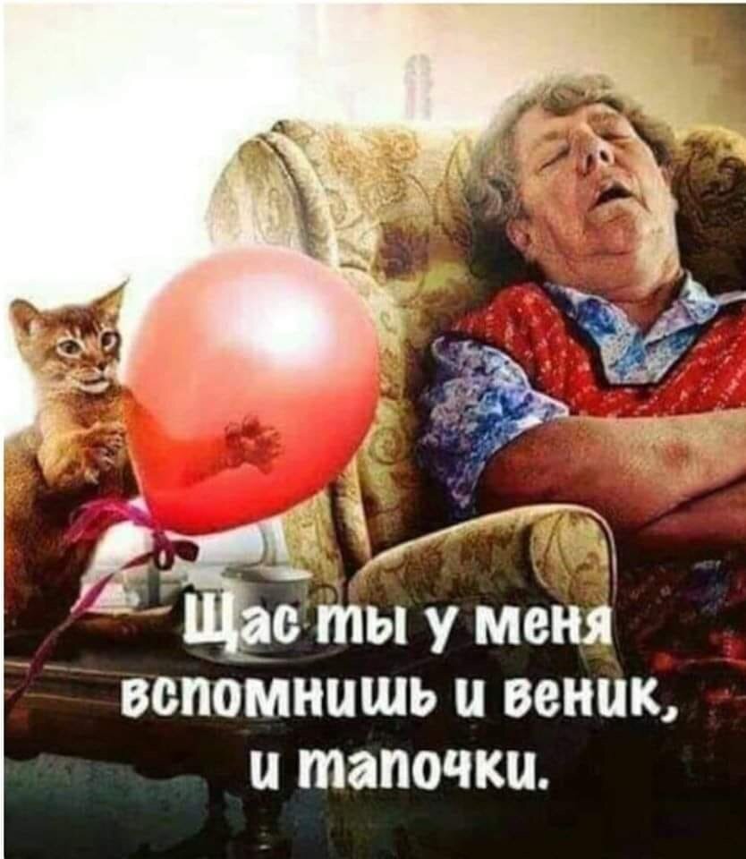 Кот, который мешал спать.