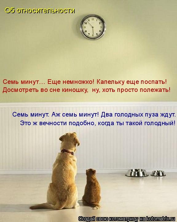 Самые смешные котоматрицы за прошедшую неделю Самые смешные котоматрицы за прошедшую неделю