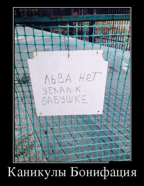 Демотиваторы отличной подборочкой для зарядки позитивом на весь день! Демотиваторы отличной подборочкой для зарядки позитивом на весь день!