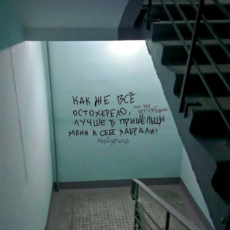 И просто бонус - подъездный крик души Когда жизнь в серости и обыденности не для тебя
(22 фото)