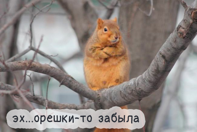 Позитивчик в картинках Позитивчик в картинках