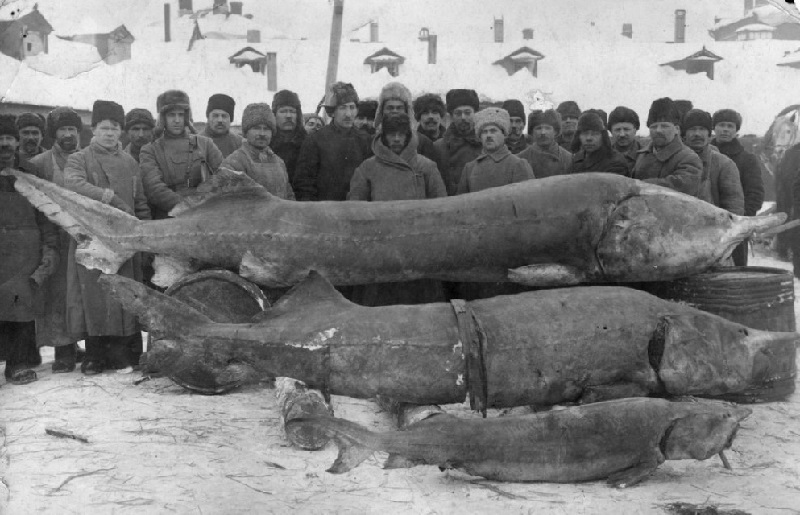 20 доказательств, что история хранит слишком много тайн 20 доказательств, что история хранит слишком много тайн