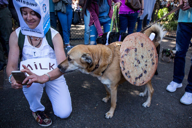 Парад собак на Хэллоуин
