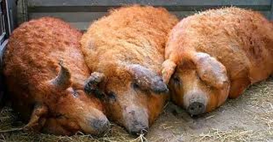15 фотографий обычных вещей, способных сломать мозг