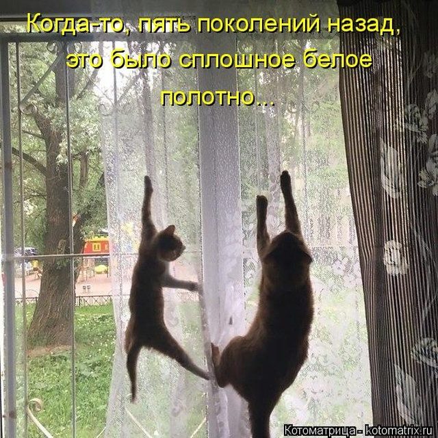 Самые смешные котоматрицы для хорошего настроения) Самые смешные котоматрицы для хорошего настроения)
