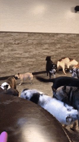 Всегда оставаться на своей волне - бесценно! Всегда оставаться на своей волне - бесценно!
(17 фото + 3 гиф)