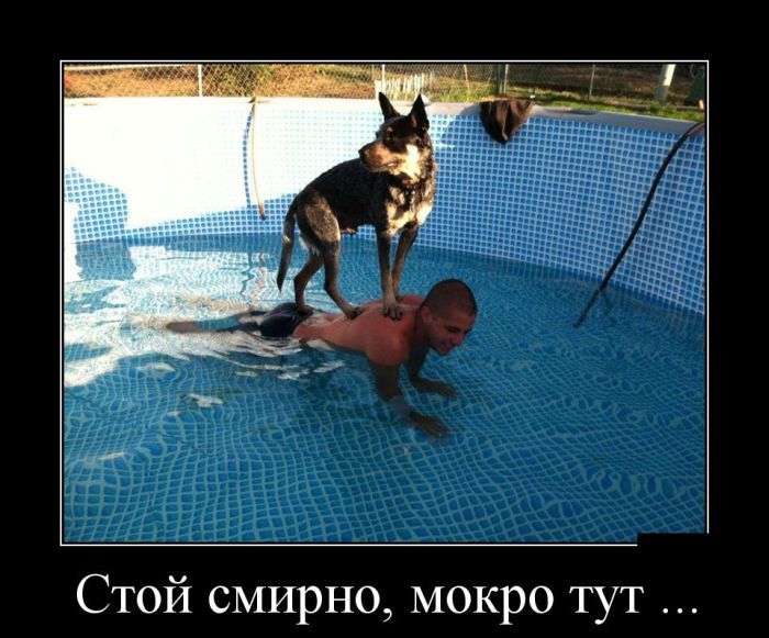 Демотиваторы отличной подборочкой для зарядки позитивом на весь день! Демотиваторы отличной подборочкой для зарядки позитивом на весь день!