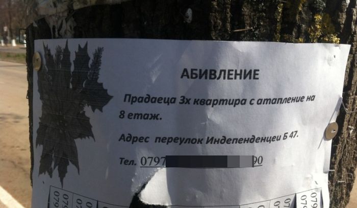 Ошибки в русской грамматике (21 фото) Ошибки в русской грамматике (21 фото)