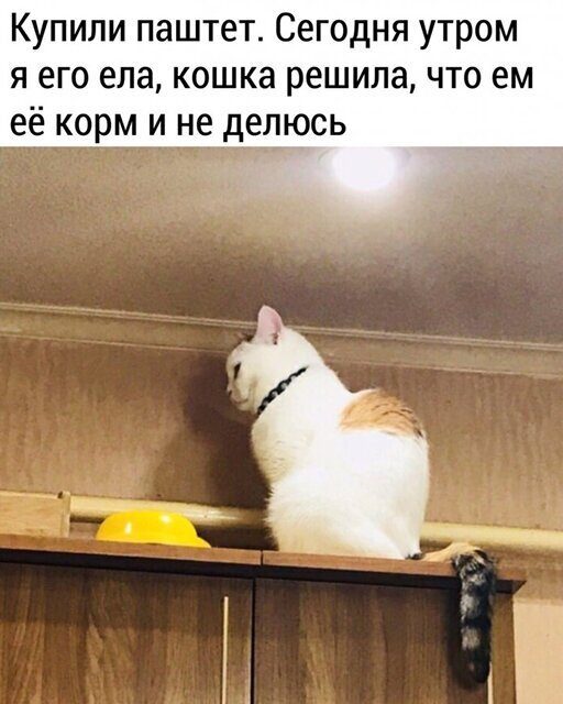 25 смешных приколюшек за последнюю неделю