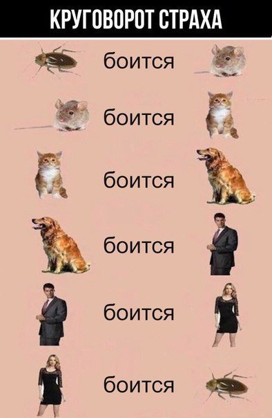 Новые фотомемы на Бугаге (27 шт) Новые фотомемы на Бугаге (27 шт)