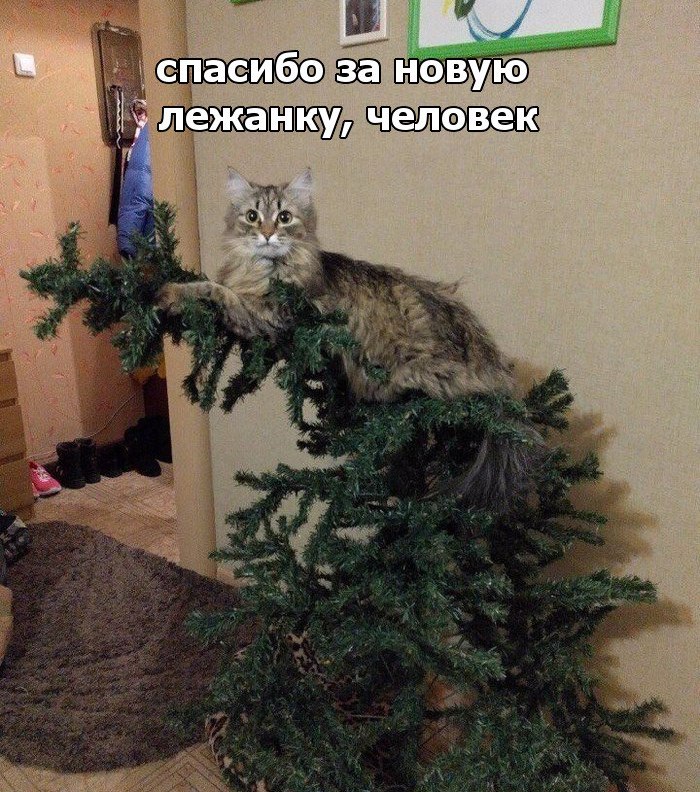 Мимимишности пост)