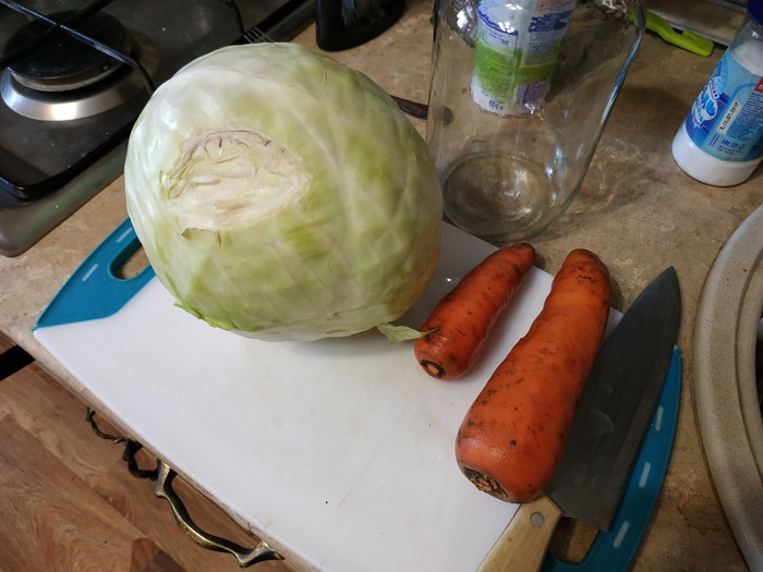 Про квашеную капусту Мужская кулинария, Первый пост, Длиннопост, Капуста, Капуста квашеная, Рецепт, Кулинария