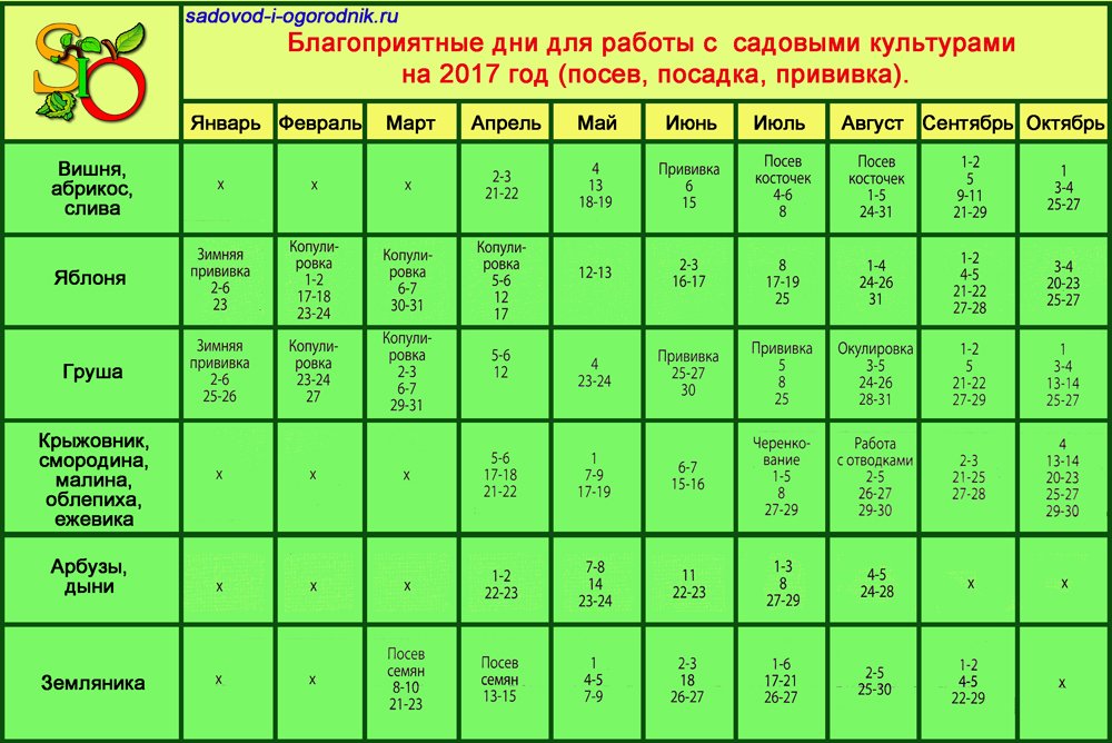 Лунный календарь посадки огурцов