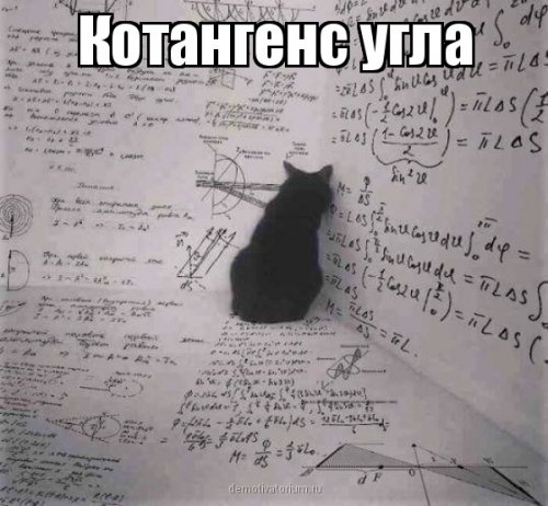 Новые фотомемы на Бугаге (27 шт) Новые фотомемы на Бугаге (27 шт)