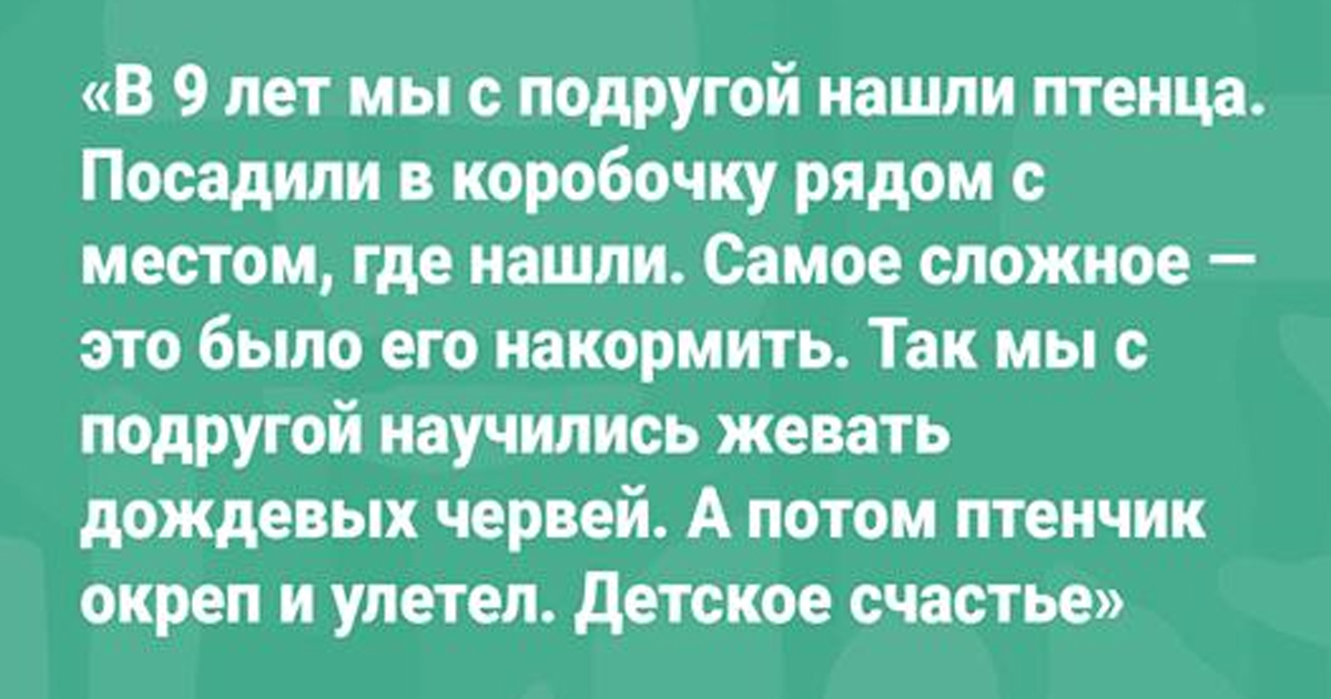 12 добрых историй из Сети