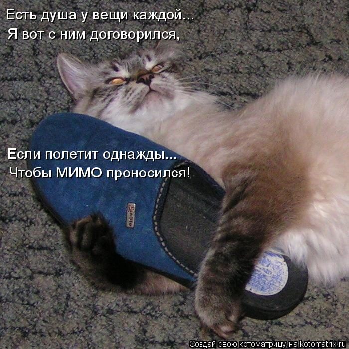 Самые смешные котоматрицы за прошедшую неделю Самые смешные котоматрицы за прошедшую неделю