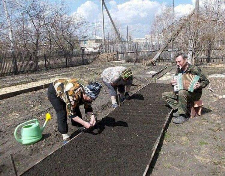 Кто сказал, что слабый пол — это женщины? Кто сказал, что слабый пол — это женщины?