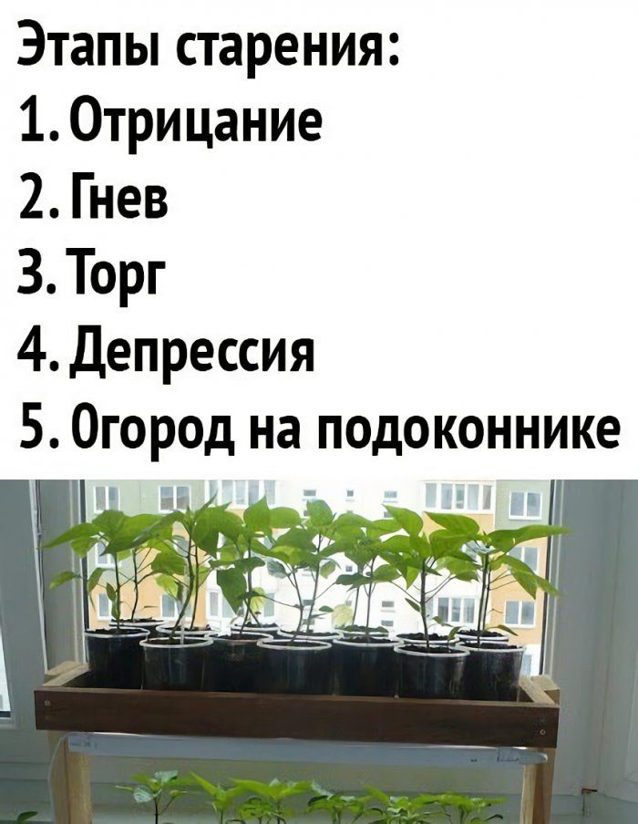 25 смешных приколюшек за последнюю неделю