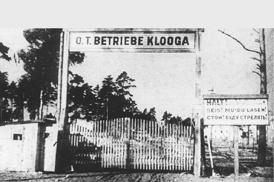 Престарелых рубили топорами, новорождённых сжигали живьём