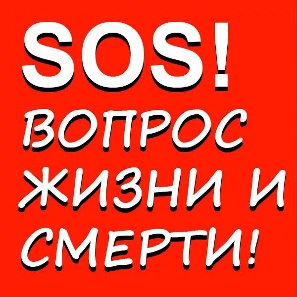 Налетели наследнички... Поделили диваны-чемоданы. Изящная и необыкновенно красивая малышка оказалась на улице. Налетели наследнички... Поделили диваны-чемоданы. Изящная и необыкновенно красивая малышка оказалась на улице.