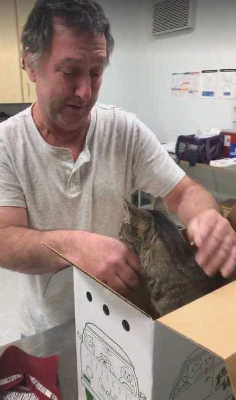 кот пропал мужчина с котом