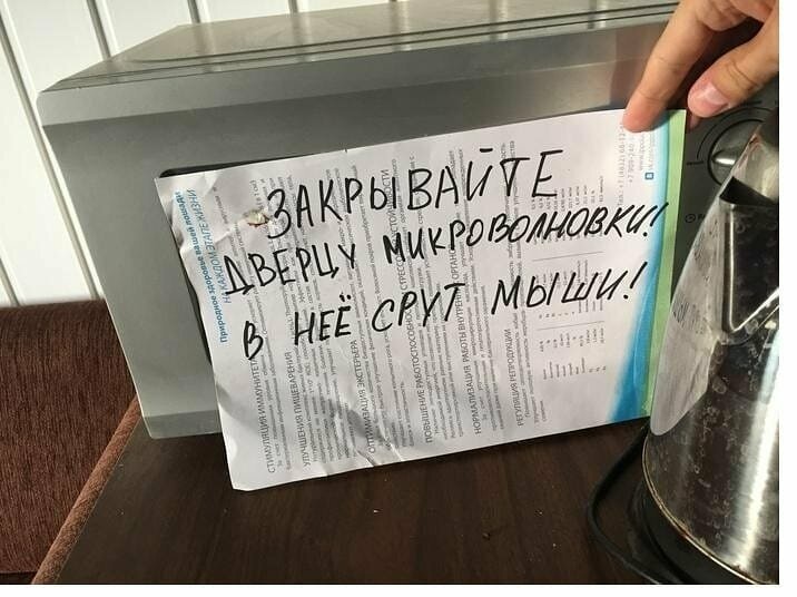 Неожиданно Оригинальные объявления пропитанные местным колоритом
(15 фото)