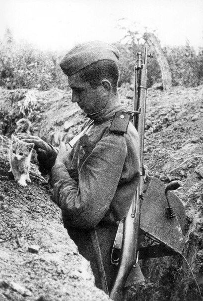Кошки партизаныВ годы Великой Отечественной войны советский... Кошки партизаныВ годы Великой Отечественной войны советский...