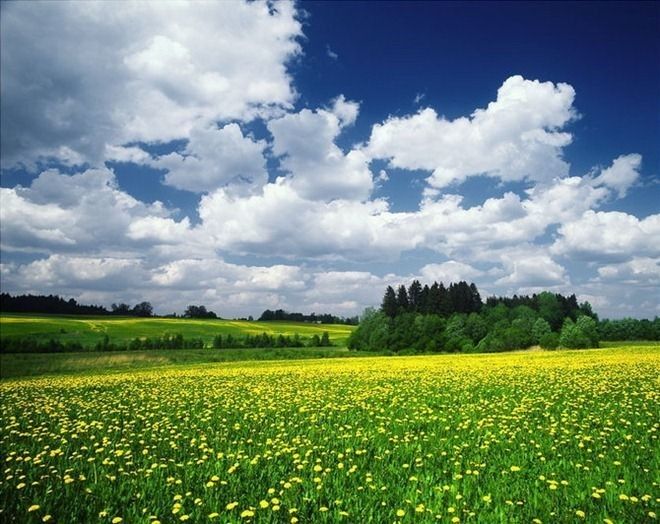 Потрясающая красота природы (37 Фото) Потрясающая красота природы 37 Фото