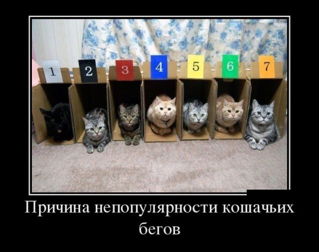 Демотиваторы Демотиваторы
