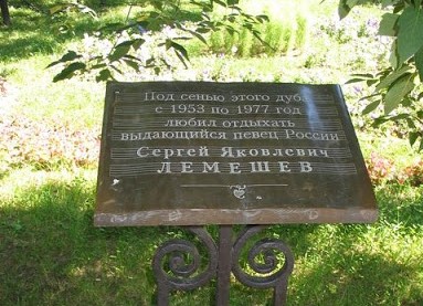109-летний дуб можно увидеть в Серебряном бору