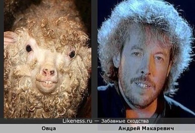 Поисписался машинист....Покусился на Высоцкого плагиатор либеральный!