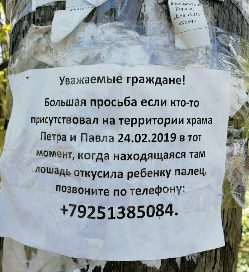 Конкурсы интересные Оригинальные объявления пропитанные местным колоритом
(15 фото)