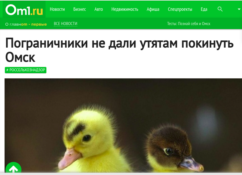 Всегда оставаться на своей волне - бесценно! Всегда оставаться на своей волне - бесценно!
(17 фото + 3 гиф)