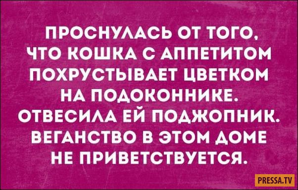 Прикольные картинки для зарядки хорошим настроением. Всем добрых событий на сегодня!!!! Прикольные картинки для зарядки хорошим настроением. Всем добрых событий на сегодня!!!!