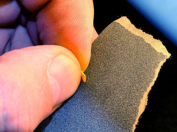 Скарификация - один из этапов подготовки семян к посеву, о котором мало кто знает Скарификация - один из этапов подготовки семян к посеву, о котором мало кто знает