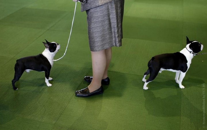 Фото: Reuters Фото: Reuters