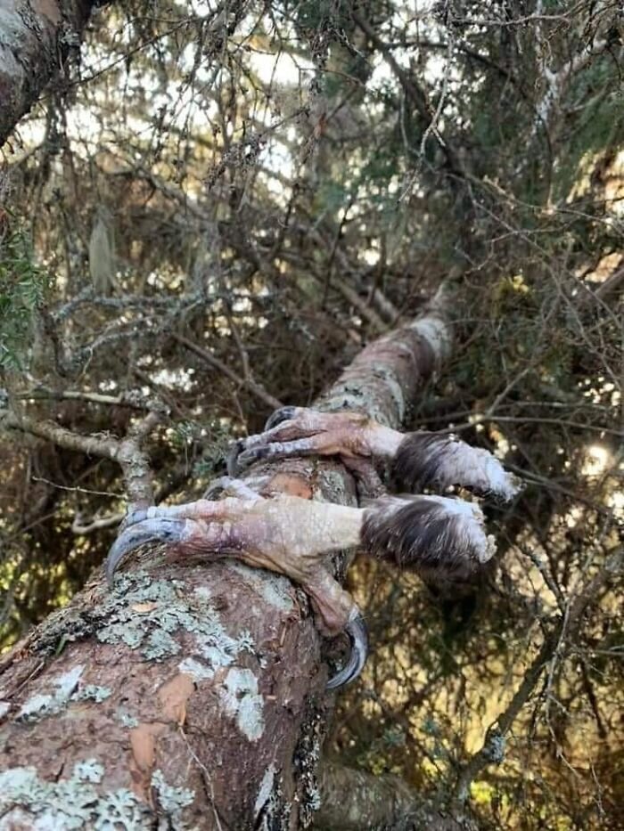 Но как?! Что именно должно было произойти и в какой последовательности? Собрались на природу? А может, не надо?
(50 фото)