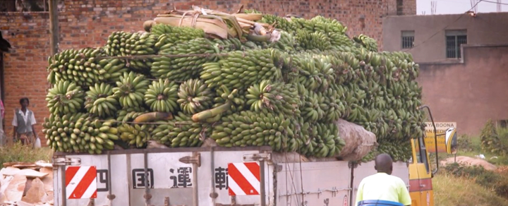 banana truck