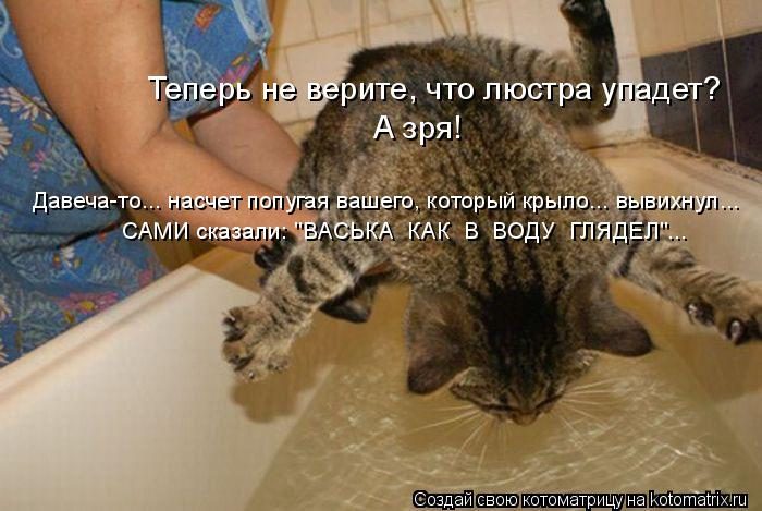 Самые смешные котоматрицы за прошедшую неделю Самые смешные котоматрицы за прошедшую неделю
